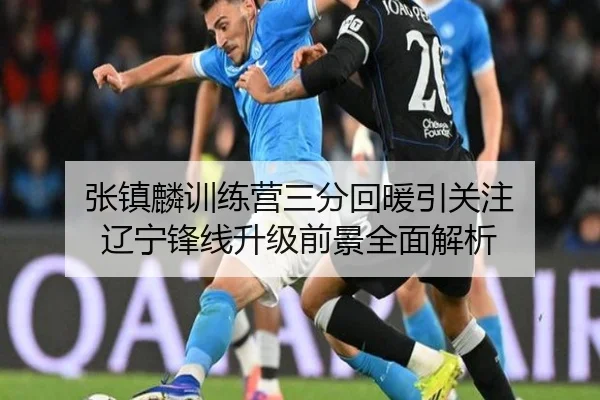 张镇麟训练营三分回暖引关注 辽宁锋线升级前景全面解析